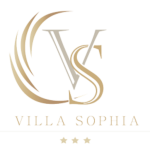cropped-cropped-vs_logo.png